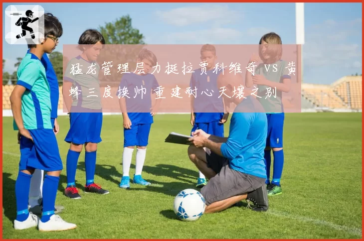 猛龙管理层力挺拉贾科维奇 vs 黄蜂三度换帅 重建耐心天壤之别