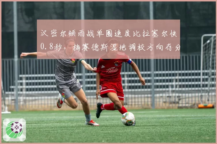 汉密尔顿雨战单圈速度比拉塞尔快0.8秒，梅赛德斯湿地调校方向存分歧