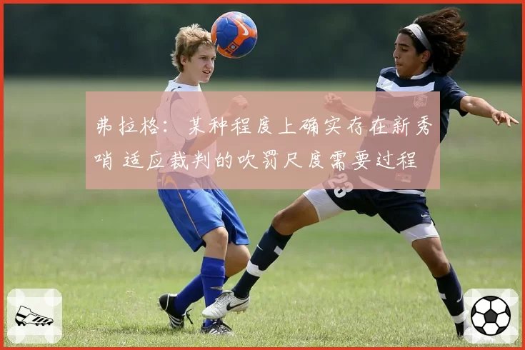 弗拉格：某种程度上确实存在新秀哨 适应裁判的吹罚尺度需要过程