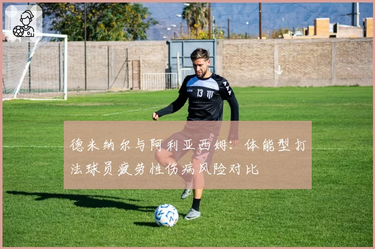 德米纳尔与阿利亚西姆：体能型打法球员疲劳性伤病风险对比