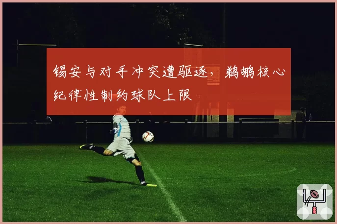 锡安与对手冲突遭驱逐，鹈鹕核心纪律性制约球队上限