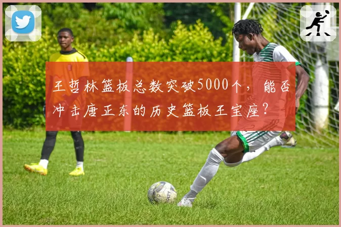 王哲林篮板总数突破5000个，能否冲击唐正东的历史篮板王宝座？
