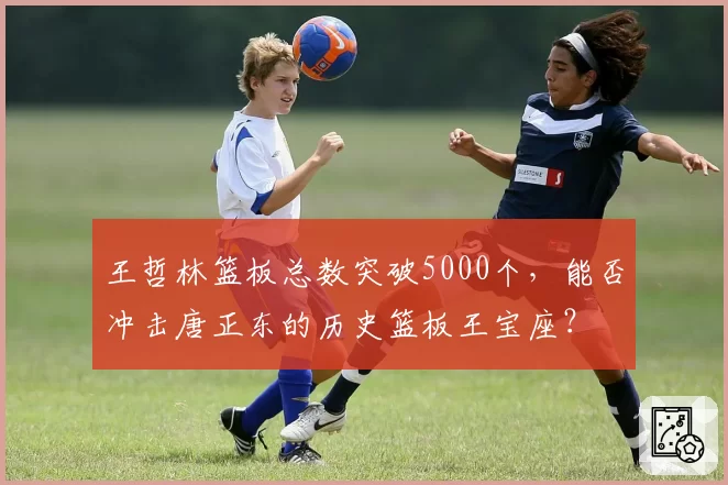 王哲林篮板总数突破5000个，能否冲击唐正东的历史篮板王宝座？